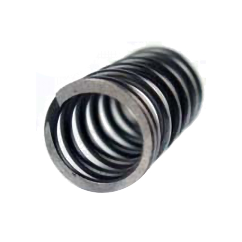 Valve Spring - WMS - Stock